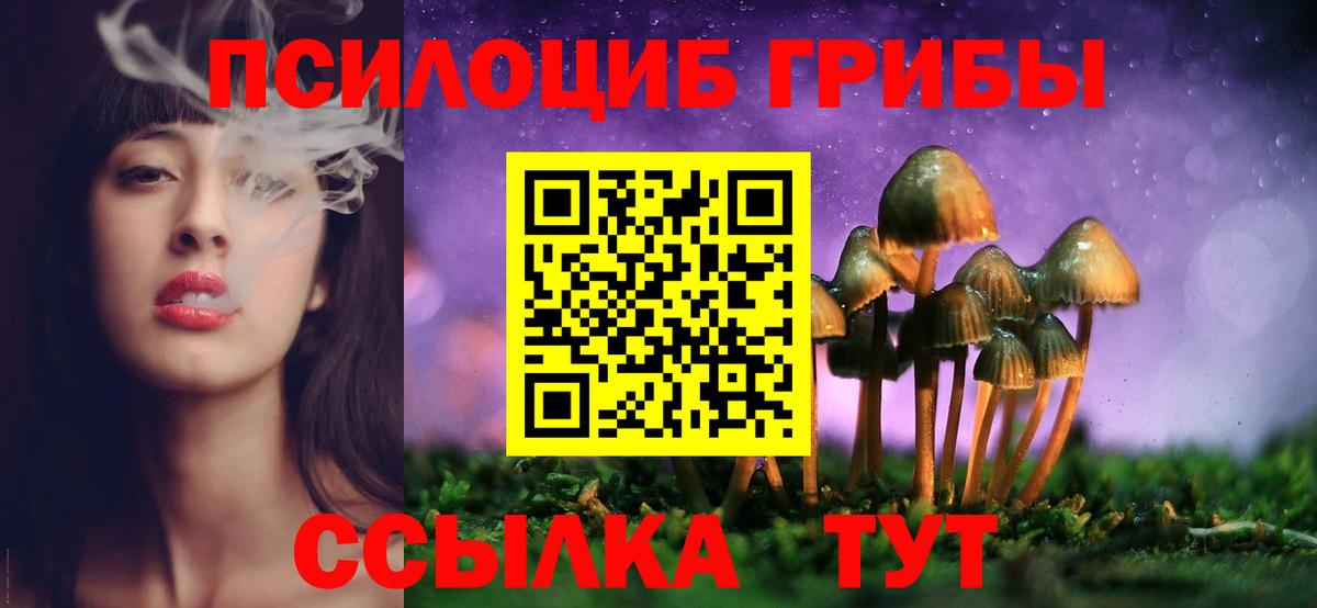 Галлюциногенные грибы MAGIC MUSHROOMS  Вход с VPN  Скопин 