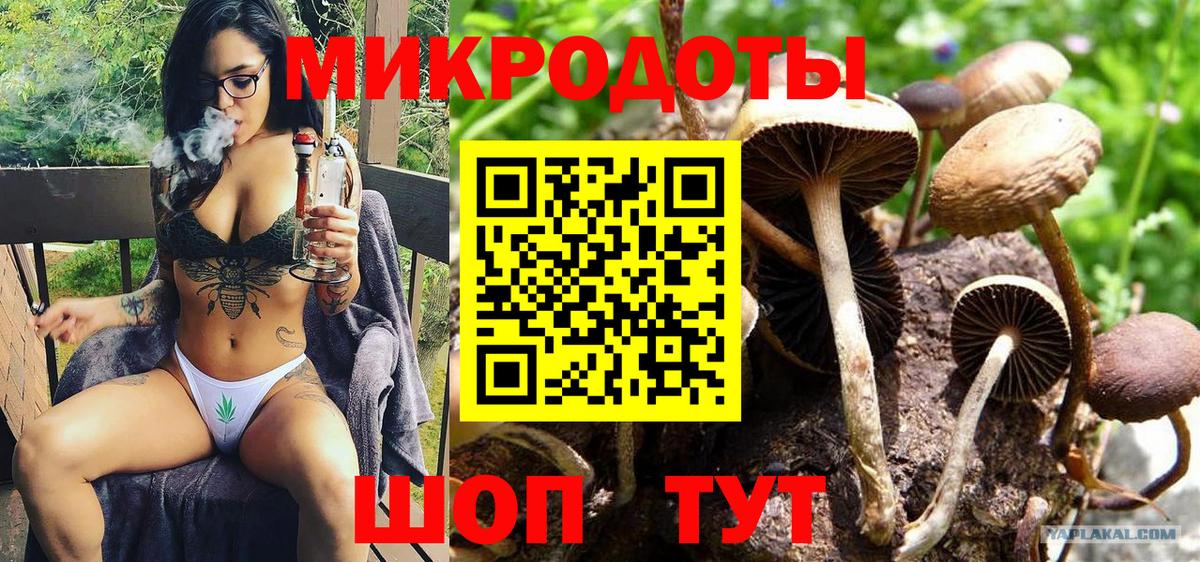 Галлюциногенные грибы Magic Shrooms Скопин